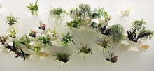 Load image into Gallery viewer, CHADA - Modular Planter - White
