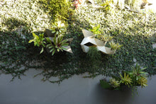 Load image into Gallery viewer, CHADA - DIY vertical garden modular planters kit - Green
