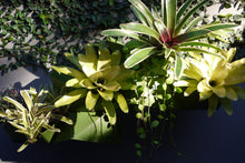 Load image into Gallery viewer, CHADA - DIY vertical garden modular planters kit - Green
