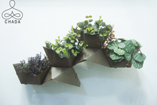 Load image into Gallery viewer, CHADA - DIY vertical garden modular planters kit - Brown
